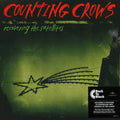 Counting Crows - Recovering The Satellites [Vinyl LP]