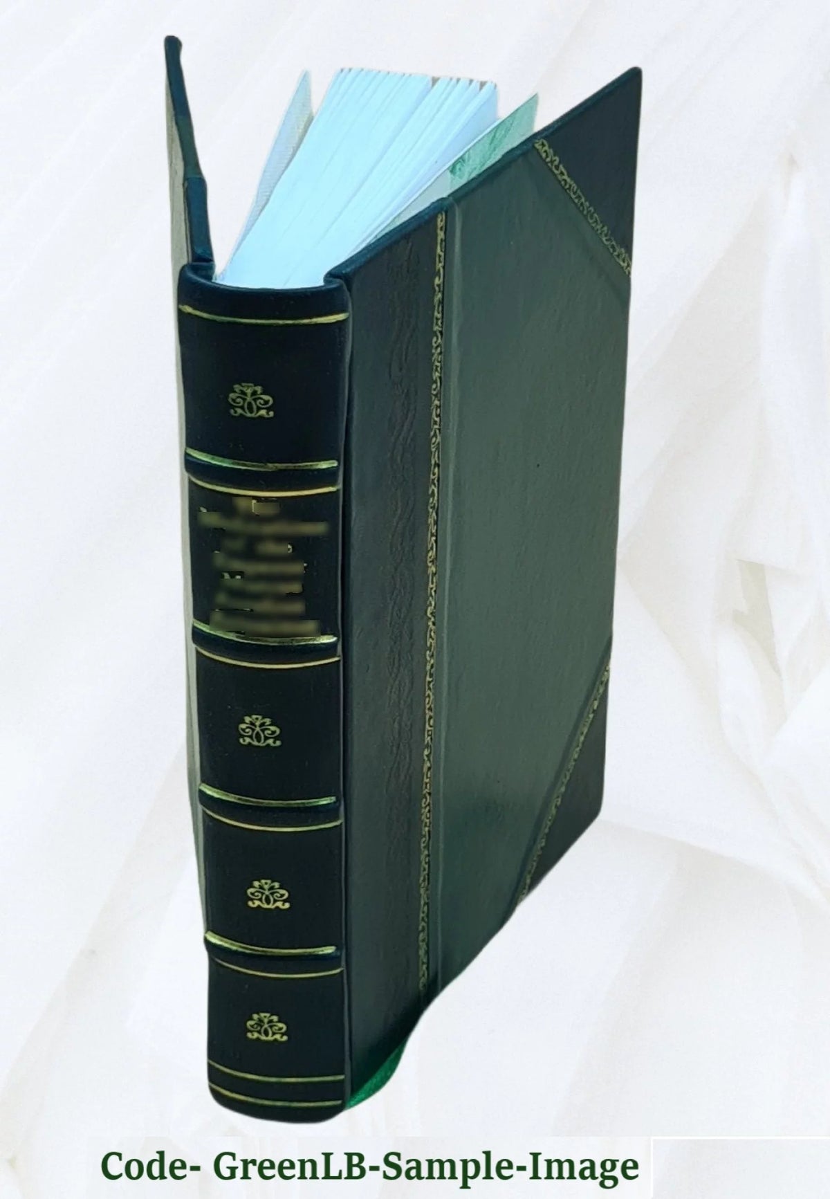 Vorarbeiten, Erd-, Grund-, Strassen- und Tunnelbau Volume 2 1905 [Leather Bound]