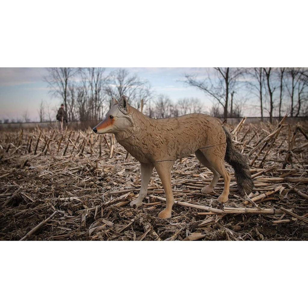 Flambeau Lone Howler Coyote Decoy
