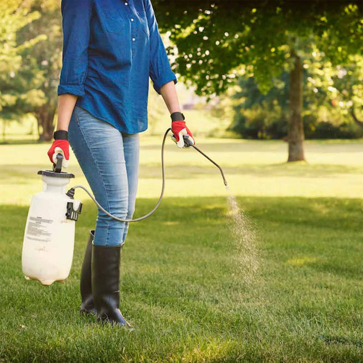 Sevin Concentrate Insect Killer - 1 Gallon