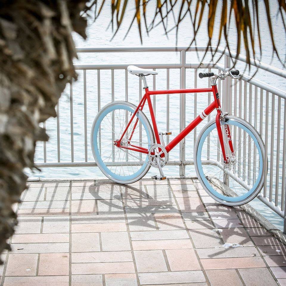 The OFW II - 52cm - Fixed Gear Single Speed Bikes - Sol?? Bicycle Co.
