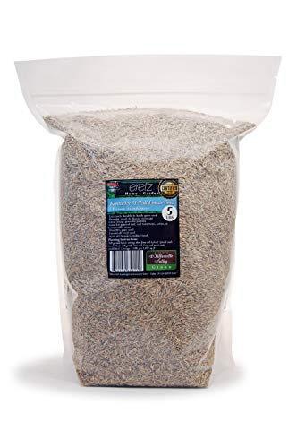 Kentucky 31 K31 Tall Fescue Grass Seed by Eretz - Choose Size! State Certified, No fillers, No Weed or Other Crop Seeds (3lbs)