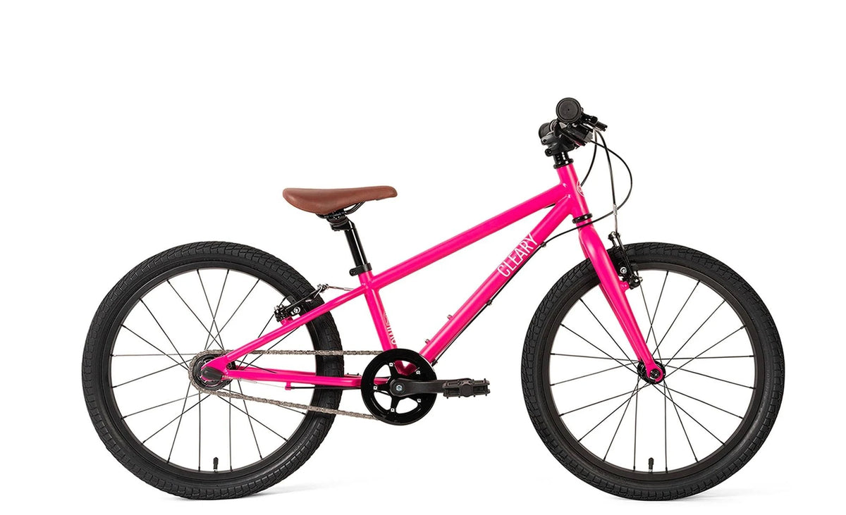 Cleary Owl 3-Speed 20-inch Kids& Bike Graphite